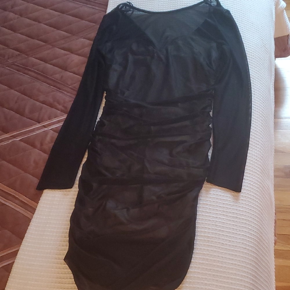 Windsor Black Ruched Long Sleeve Bodycon Sheer V Back  Dress